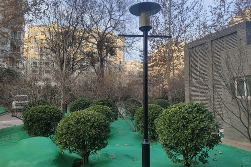 双槐里小区居住体验与周边经纪服务观察